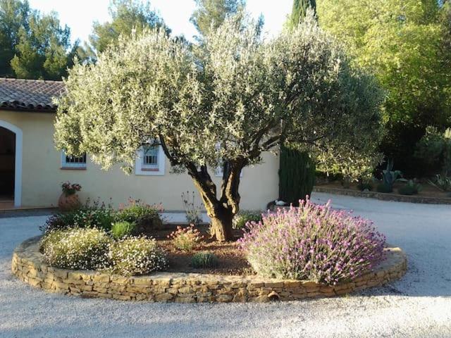 Maison Privee Au Calme Dans Mas Provencal Villa Sanary-sur-Mer Ngoại thất bức ảnh